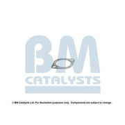 BM Catalysts Fitting Kit FK80418A FK80418A