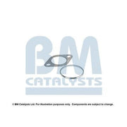 BM Catalysts Fitting Kit FK80069A FK80069A