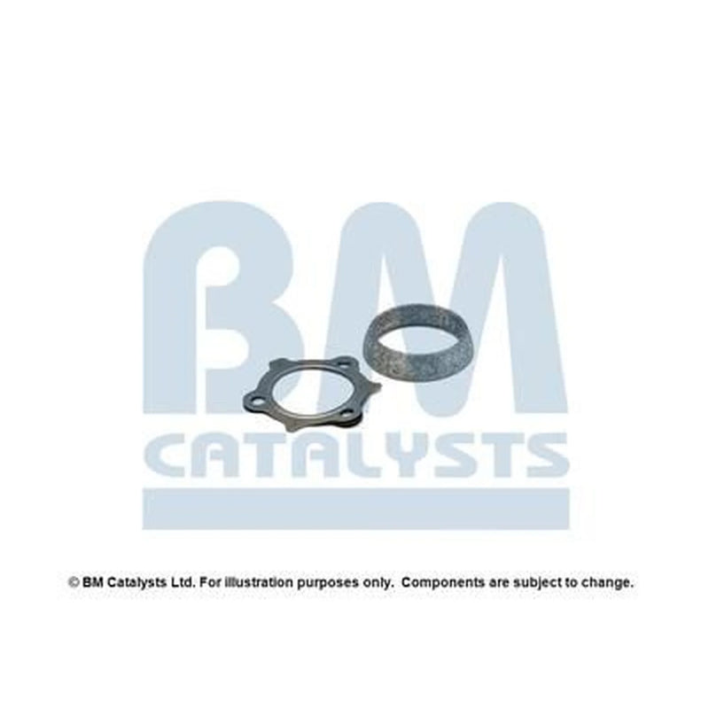 BM Catalysts Fitting Kit FK80397A FK80397A