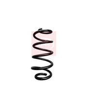 Apec Front Suspension Coil Spring ACS2004