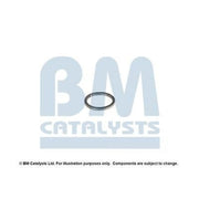 BM Catalysts Fitting Kit FK80253A FK80253A
