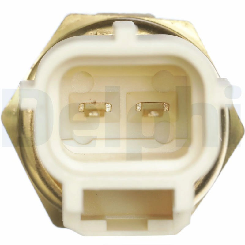 Delphi Coolant Temperature Sensor TS10289