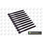 BGA Cylinder Head Bolt Set M11 BK3339