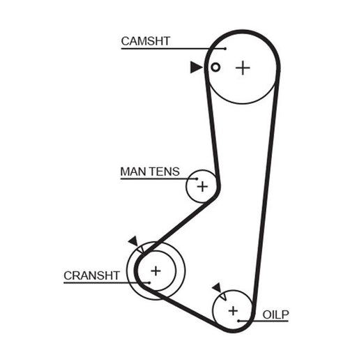 Gates Timing Belt Cambelt 122 Teeth 5372XS