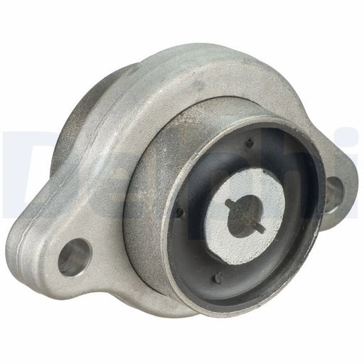 Delphi Wishbone / Control / Trailing Arm Bush TD1833W