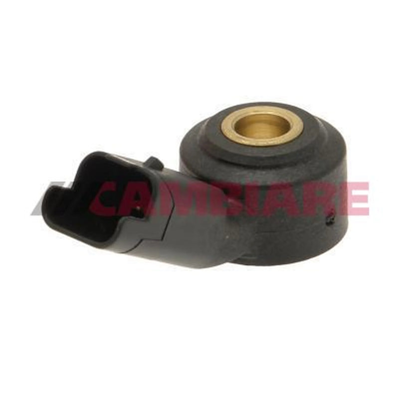 Cambiare Engine Knock Sensor VE369049