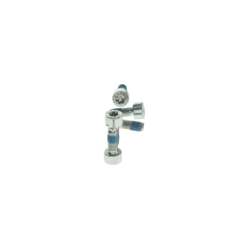 Bosch Mounting Screw Fastener 2 914 558 181