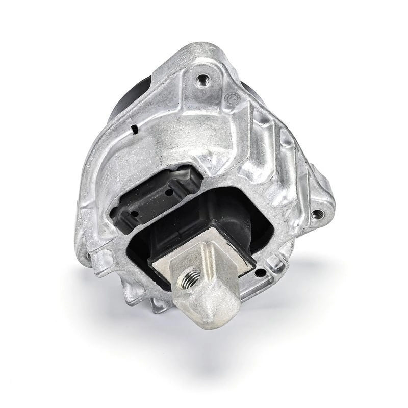 Delphi Engine Mount Mounting both sides TEM255
