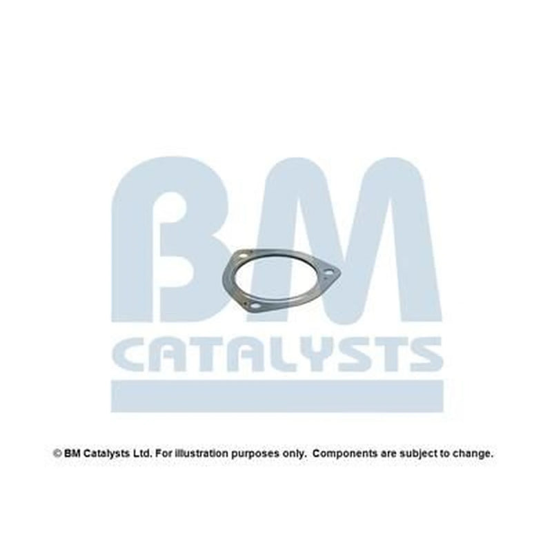 BM Catalysts Fitting Kit FK11198A FK11198A