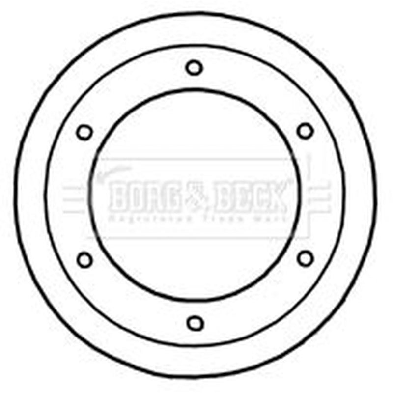 Borg & Beck 2 x Vented Rear Brake Discs BBD5921S-x2