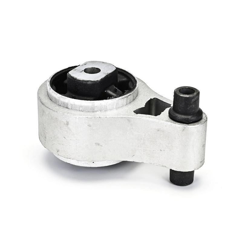 Delphi Engine Mount Mounting Rear TEM126