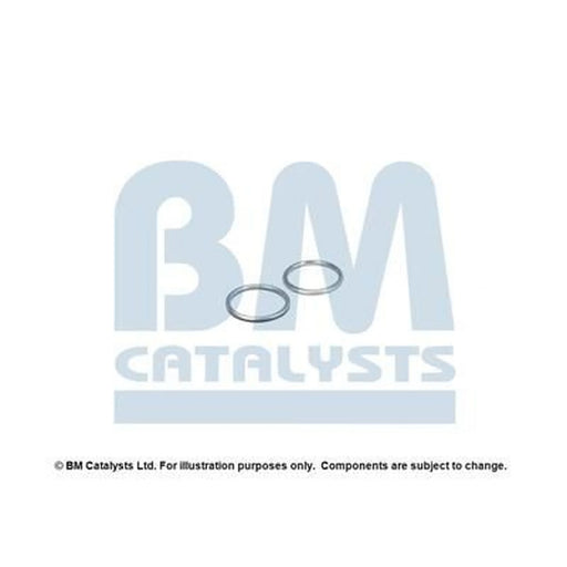 BM Catalysts Fitting Kit FK90595A FK90595A