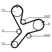 Continental CTAM Timing Belt Cambelt 154 Teeth CT1152