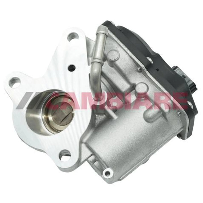 Cambiare Exhaust Gas Recirculation Valve VE360451