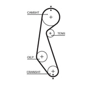 Gates Timing Belt Cambelt 102 Teeth 5090