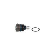 Delphi Ball Joint Lower TC8549