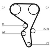 Continental CTAM Timing Belt Cambelt 135 Teeth CT1101