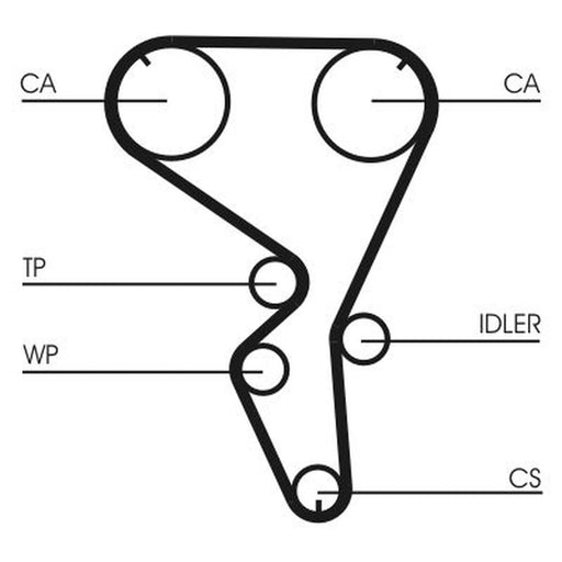 Continental CTAM Timing Belt Cambelt 135 Teeth CT1101
