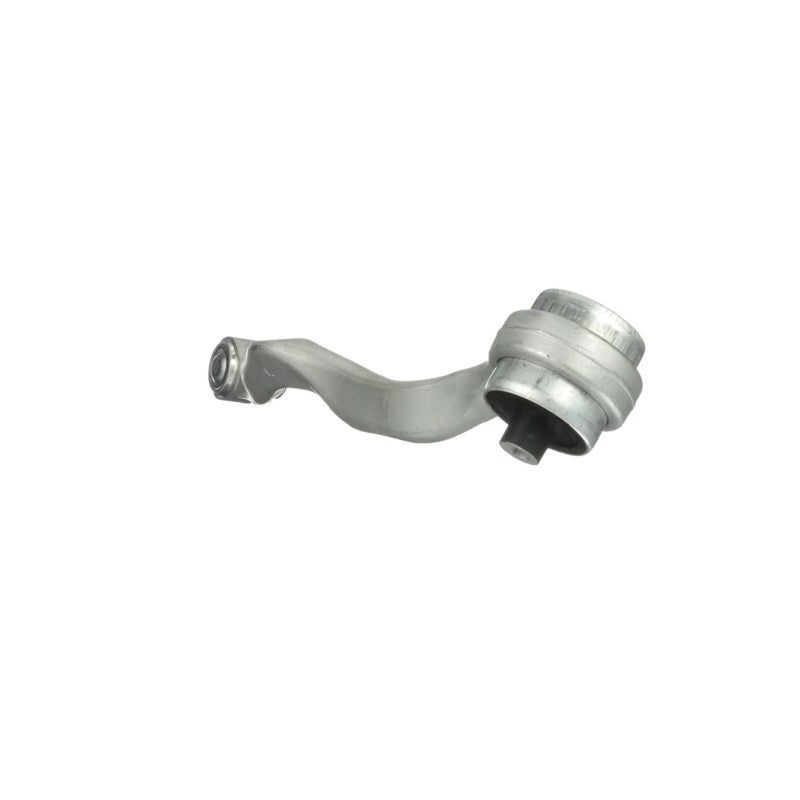 Delphi Control/Trailing Arm Front TC5032