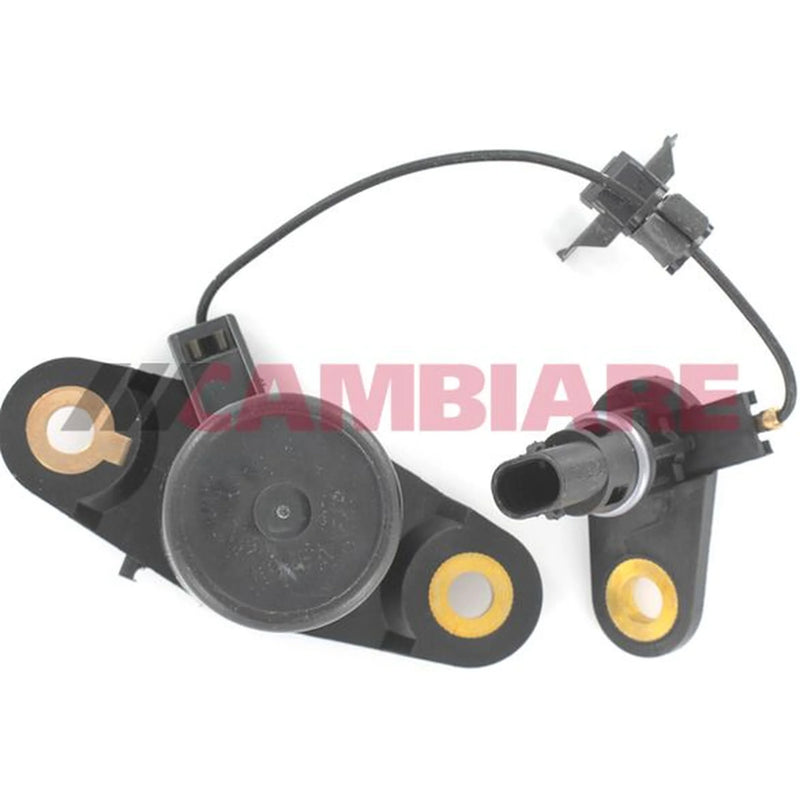 Cambiare Oil Level Sensor VE340038