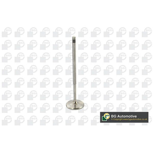 BGA Engine Intake Valve Head V969601