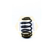 NAPA Rear Suspension Coil Spring NCS1316