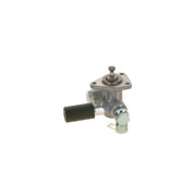Bosch Fuel Pump Assembly 0 440 017 031