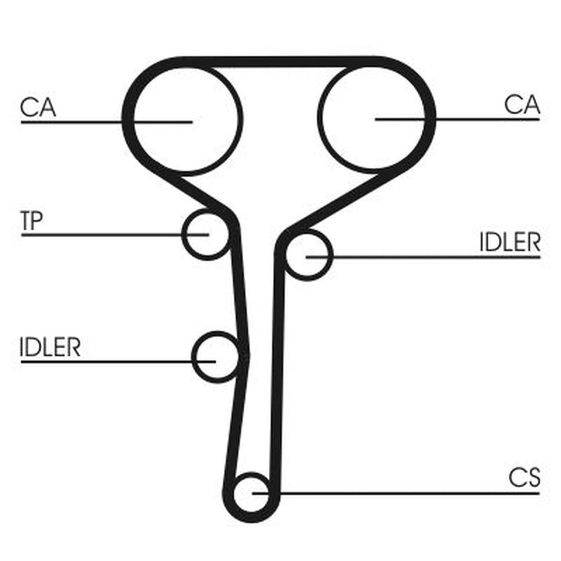 Continental CTAM Timing Belt Cambelt 128 Teeth CT977