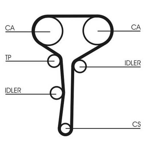 Continental CTAM Timing Belt Cambelt 128 Teeth CT977