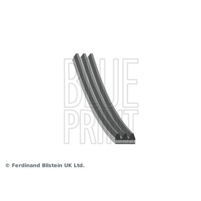 Blue Print Multi V-Ribbed Drive Belt AD03R872