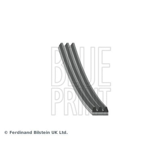 Blue Print Multi V-Ribbed Drive Belt AD03R872