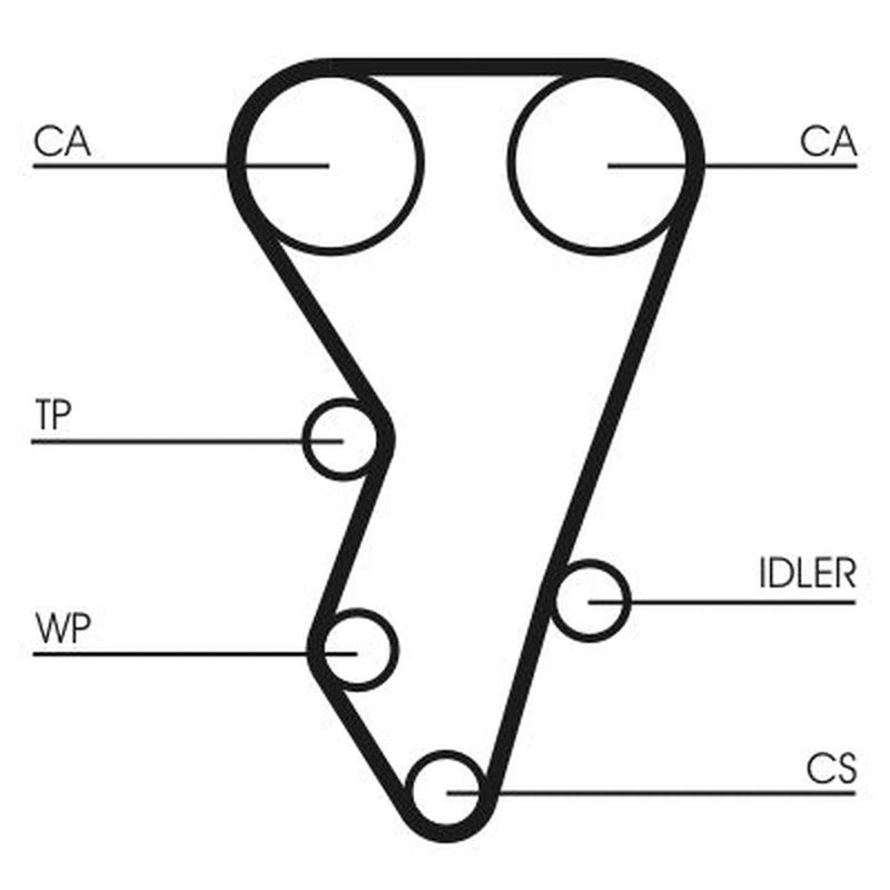 Continental CTAM Timing Belt Cambelt 134 Teeth CT864