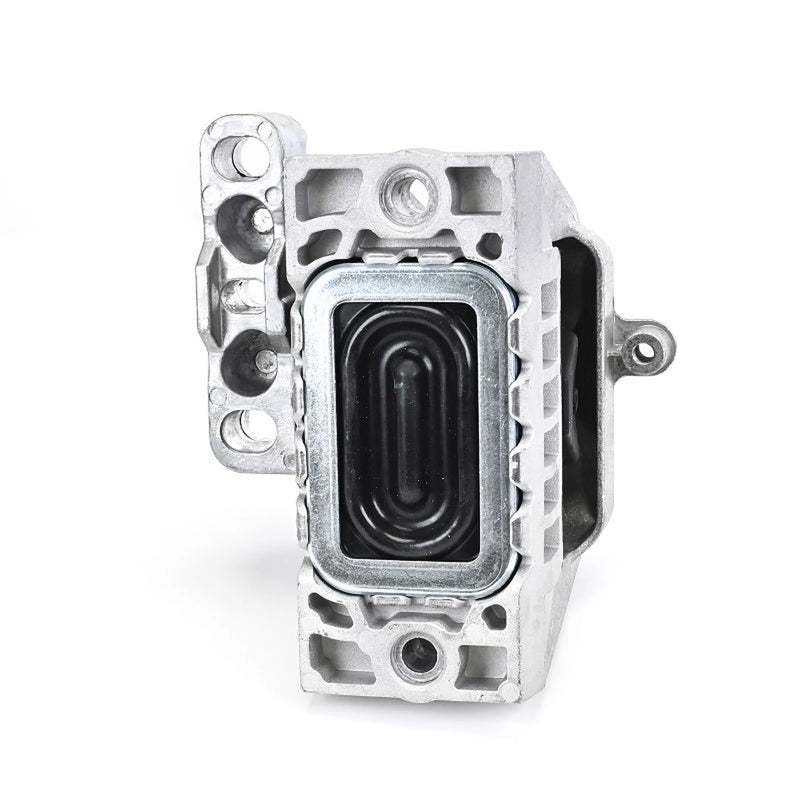 Delphi Engine Mount Mounting Right TEM273