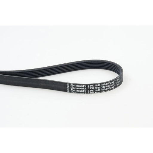 Continental CTAM Multi V-Ribbed Drive Belt 6PK1019ELAST