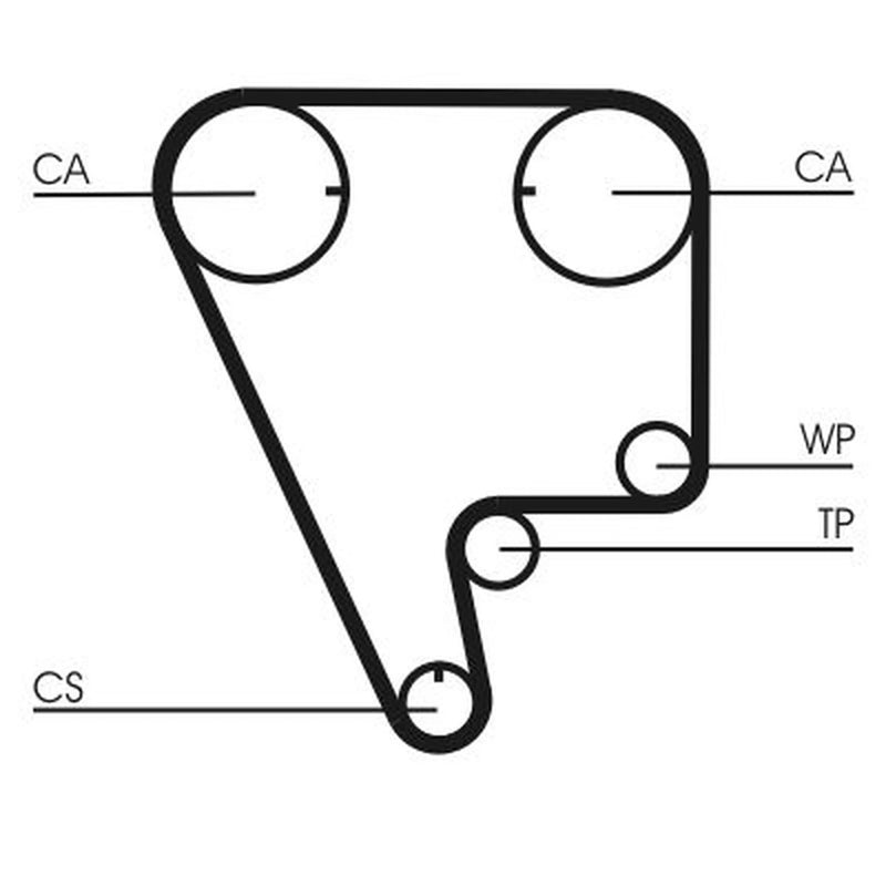Continental CTAM Timing Belt Cambelt 124 Teeth CT794