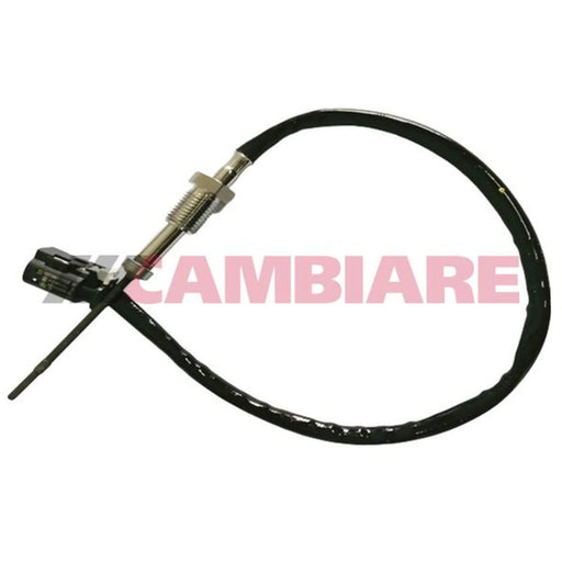 Cambiare Exhaust Gas Temperature Sensor VE390357