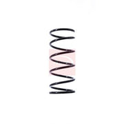 Apec Front Suspension Coil Spring ACS1394