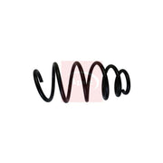 Apec Front Suspension Coil Spring ACS1897