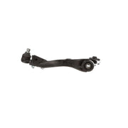 Delphi Control/Trailing Arm Lower TC3588