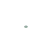 Bosch Sealing Ring Gasket 1 260 210 889