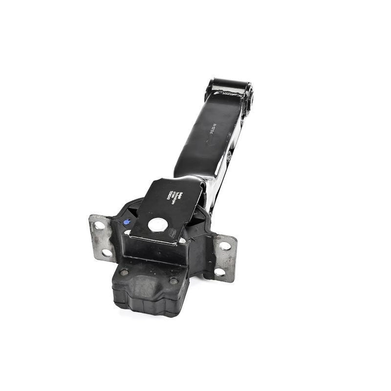 Delphi Engine Mount Mounting Rear TEM243