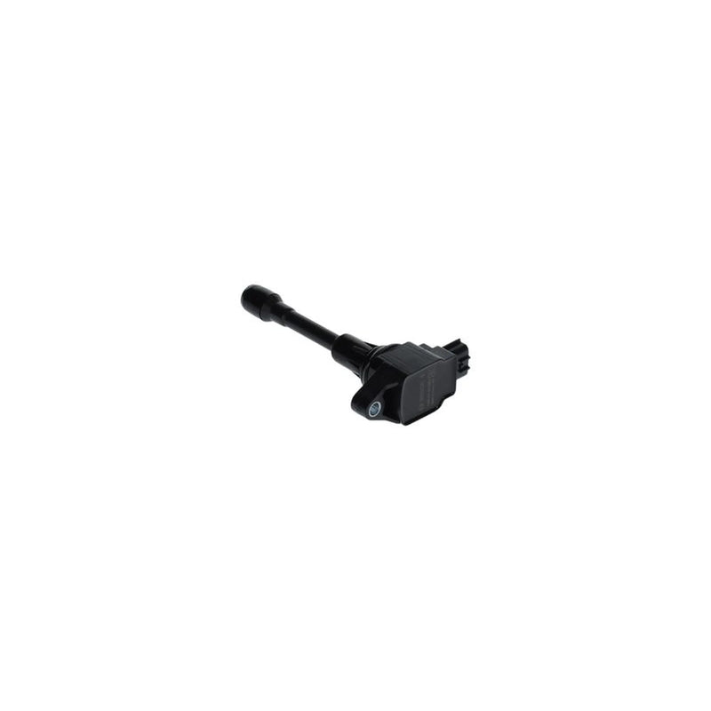 Bosch Ignition Coil Pack 0 986 22A 220