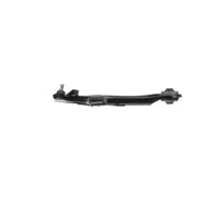 Delphi Control/Trailing Arm Lower TC3596