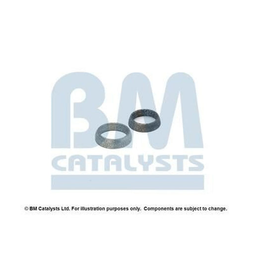 BM Catalysts Exhaust Pipe Mounting Kit FK50252A