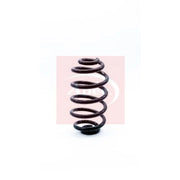 Apec Rear Suspension Coil Spring ACS1172
