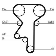 Continental CTAM Timing Belt Kit with Rollers CT975K2