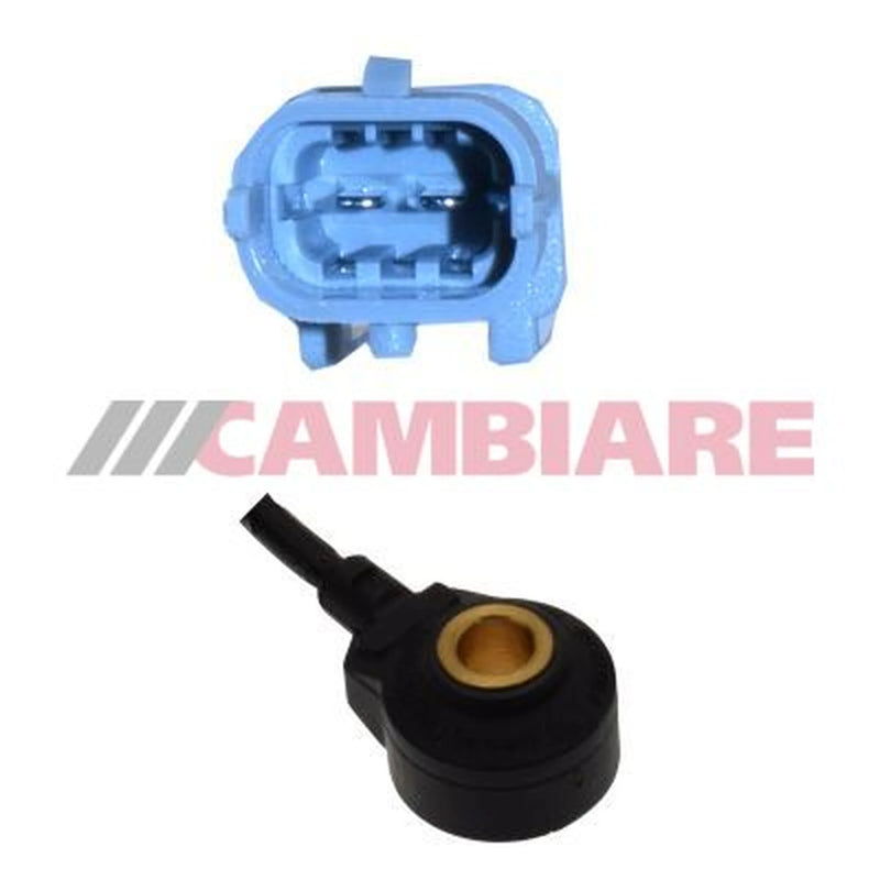 Cambiare Engine Knock Sensor VE369111