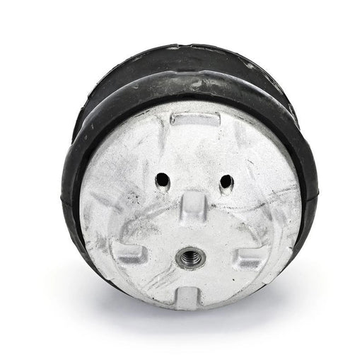 Delphi Engine Mount Mounting Front TEM132