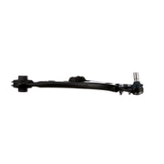 Delphi Control/Trailing Arm Lower TC6802