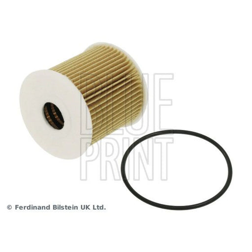 Blue Print Engine Oil Filter ADN12114
